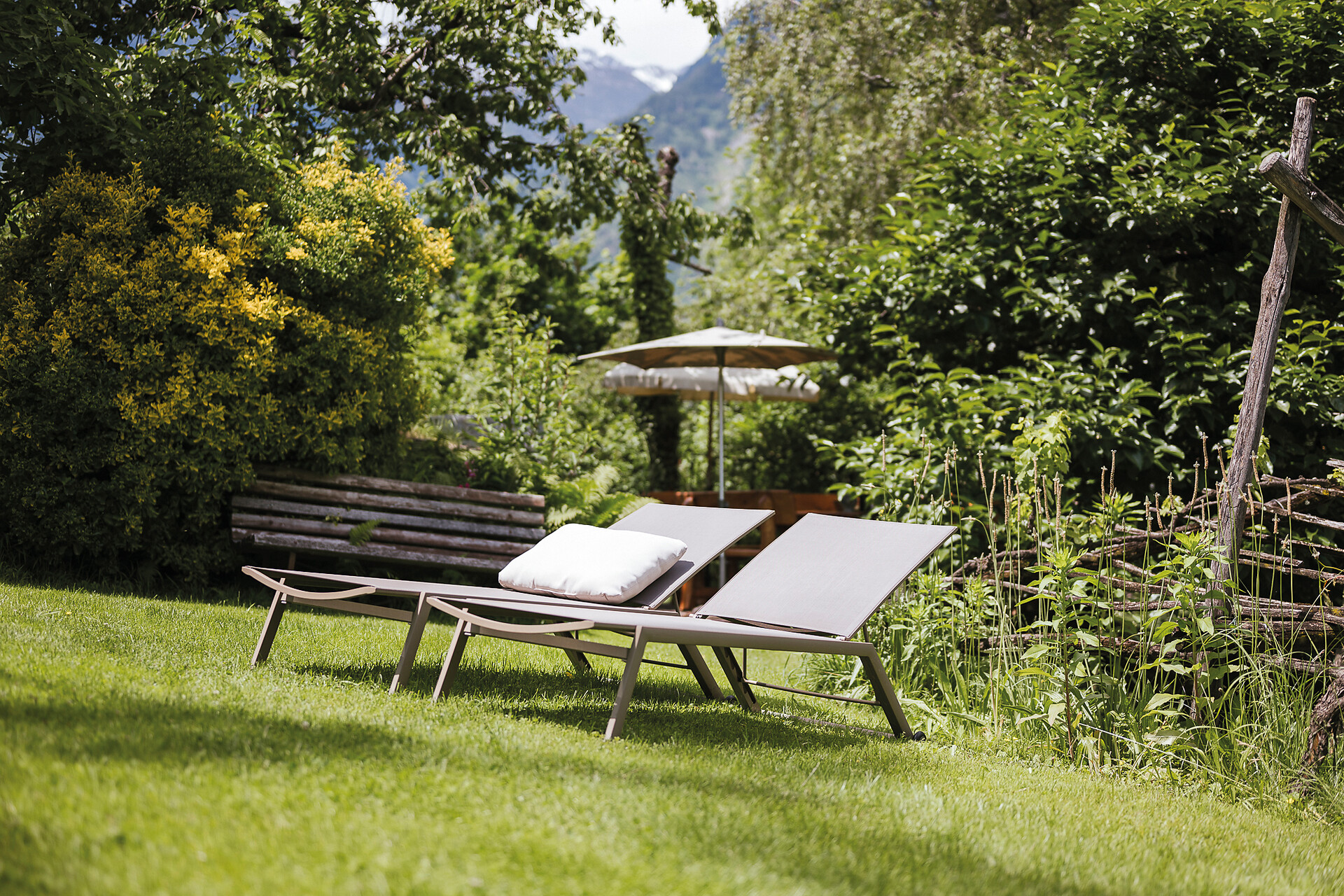Giardino