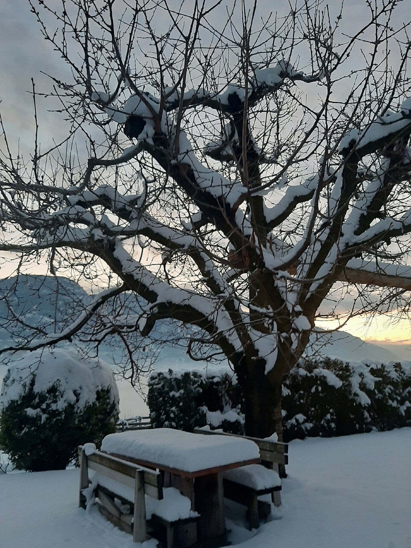 Inverno