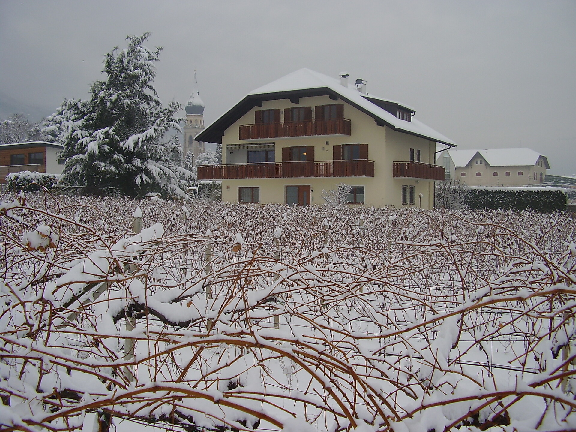 Breitenhof