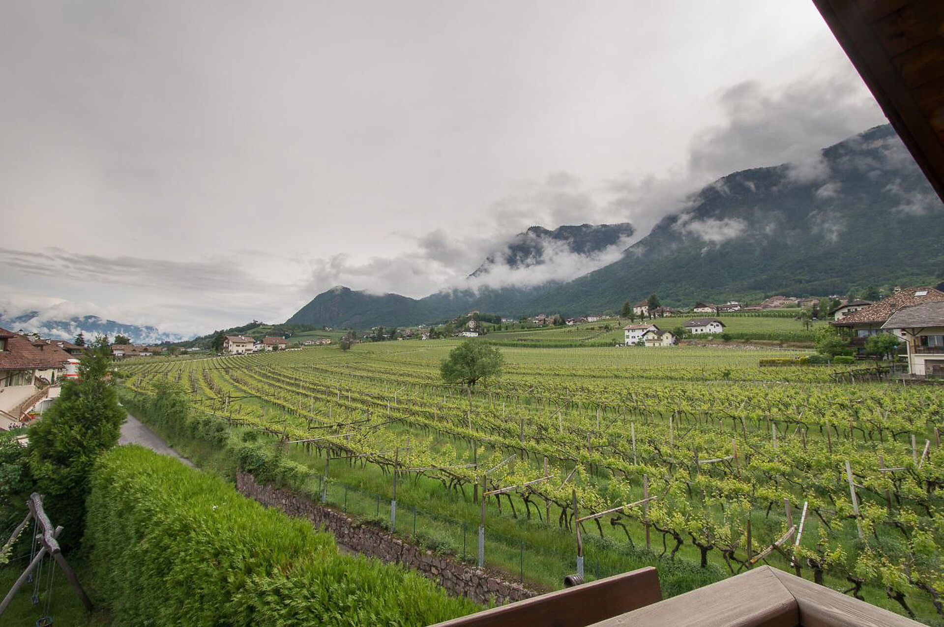 Blick vom Balkon über die Weinberge