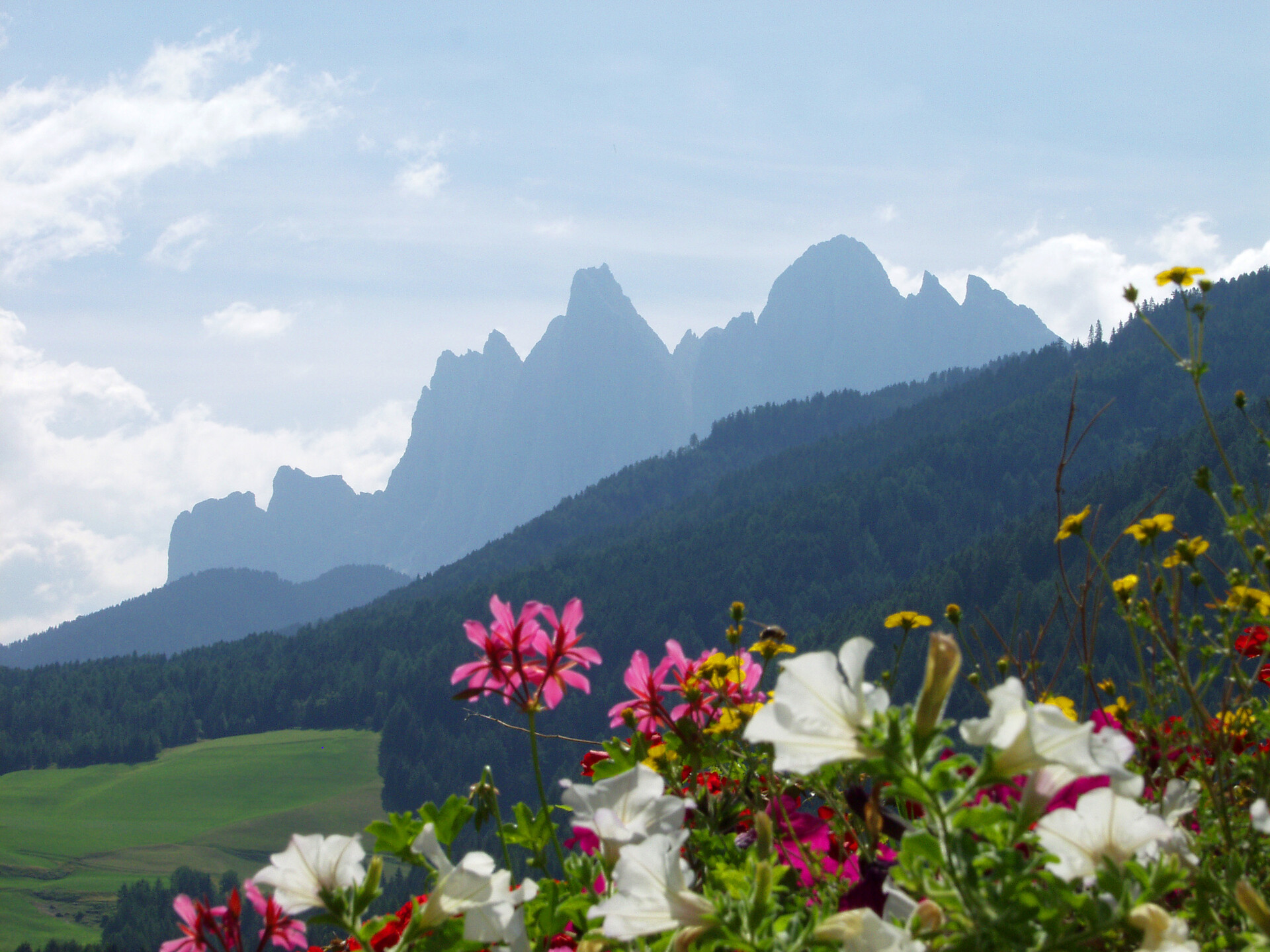 Bergblick