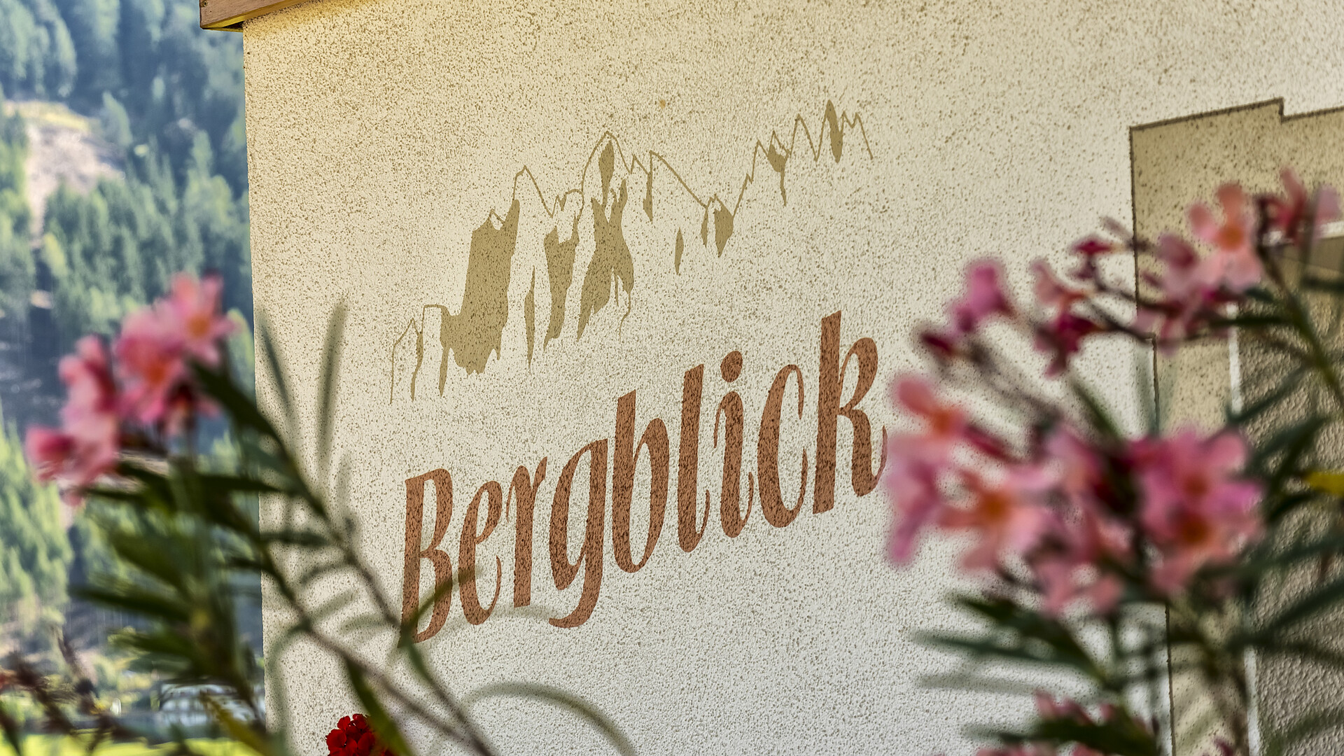 Bergblick