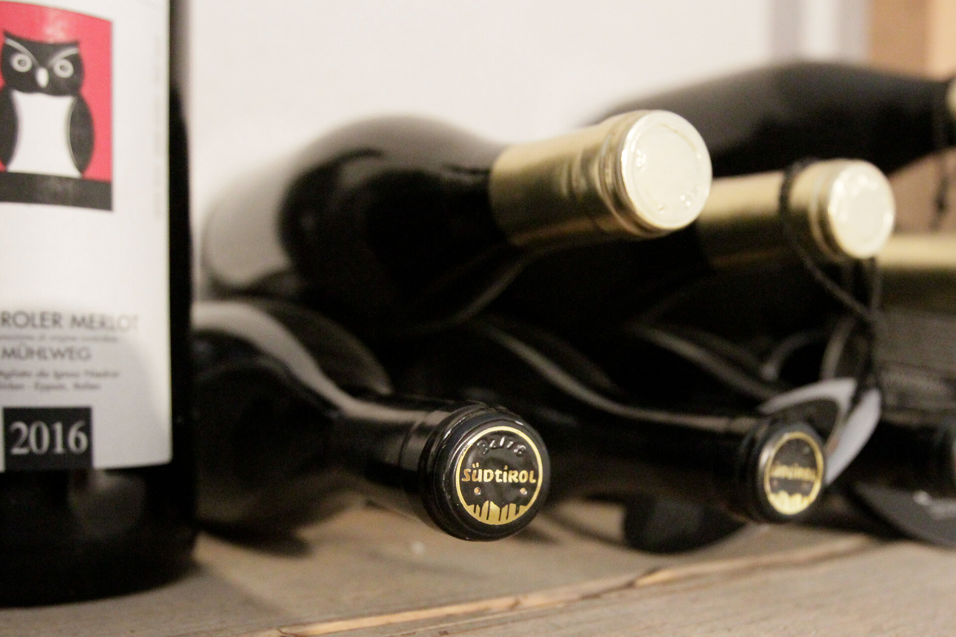 Cantina vini