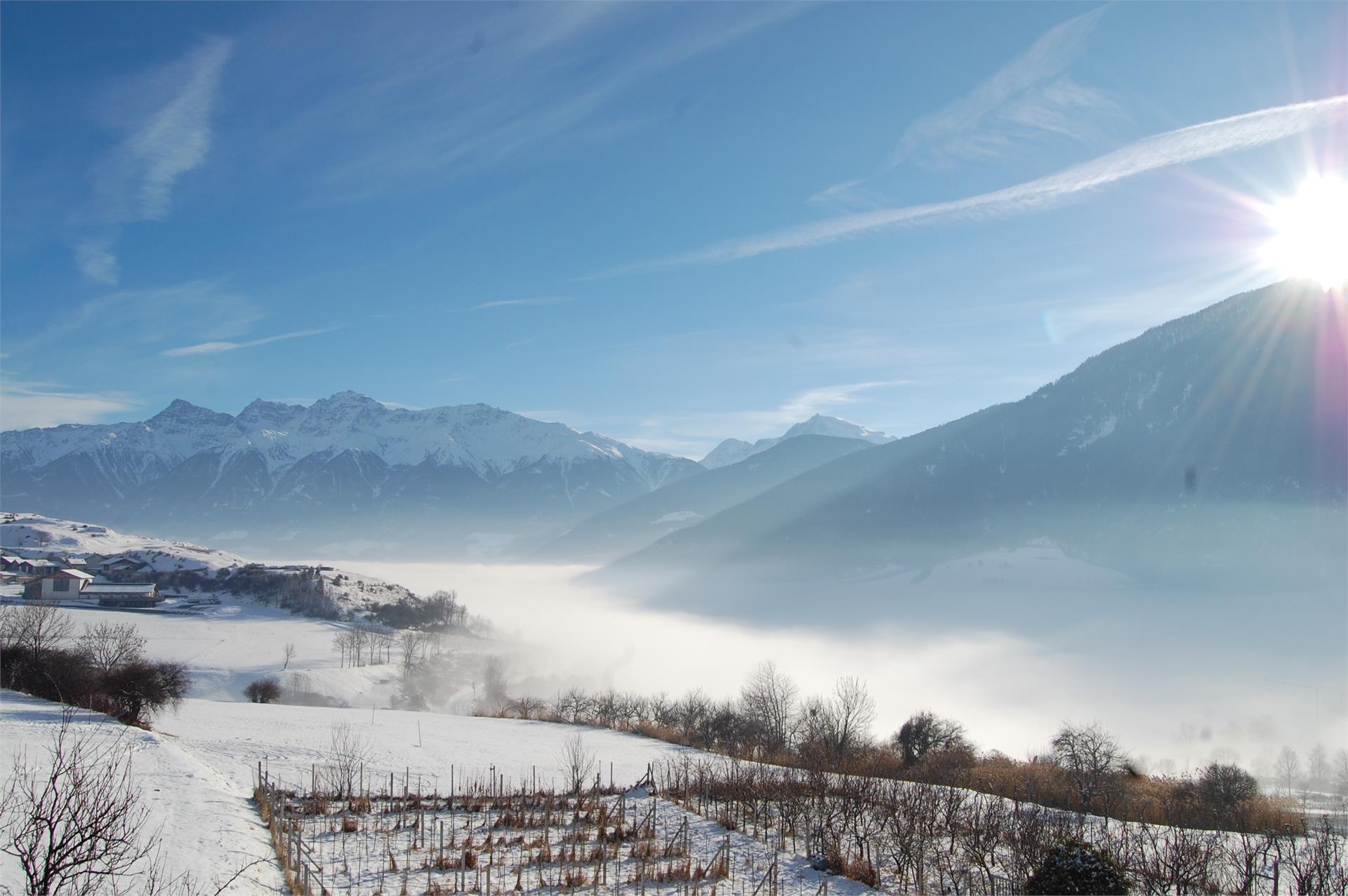 Bio Hotel Panorama Mals 7 suedtirol.info