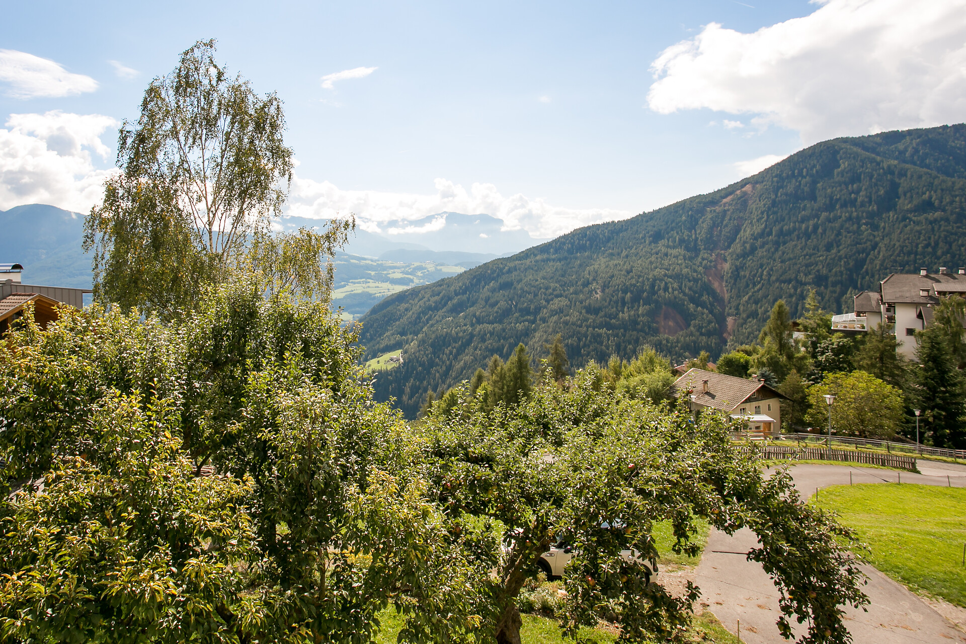 Vista