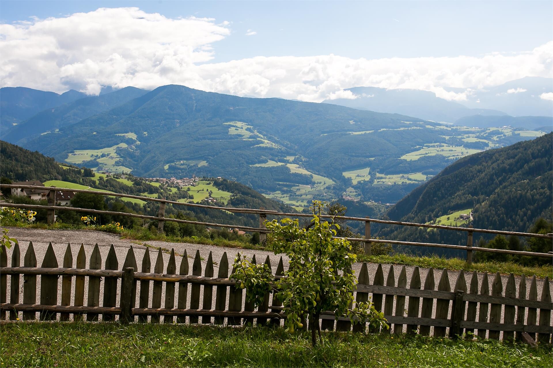 Vista