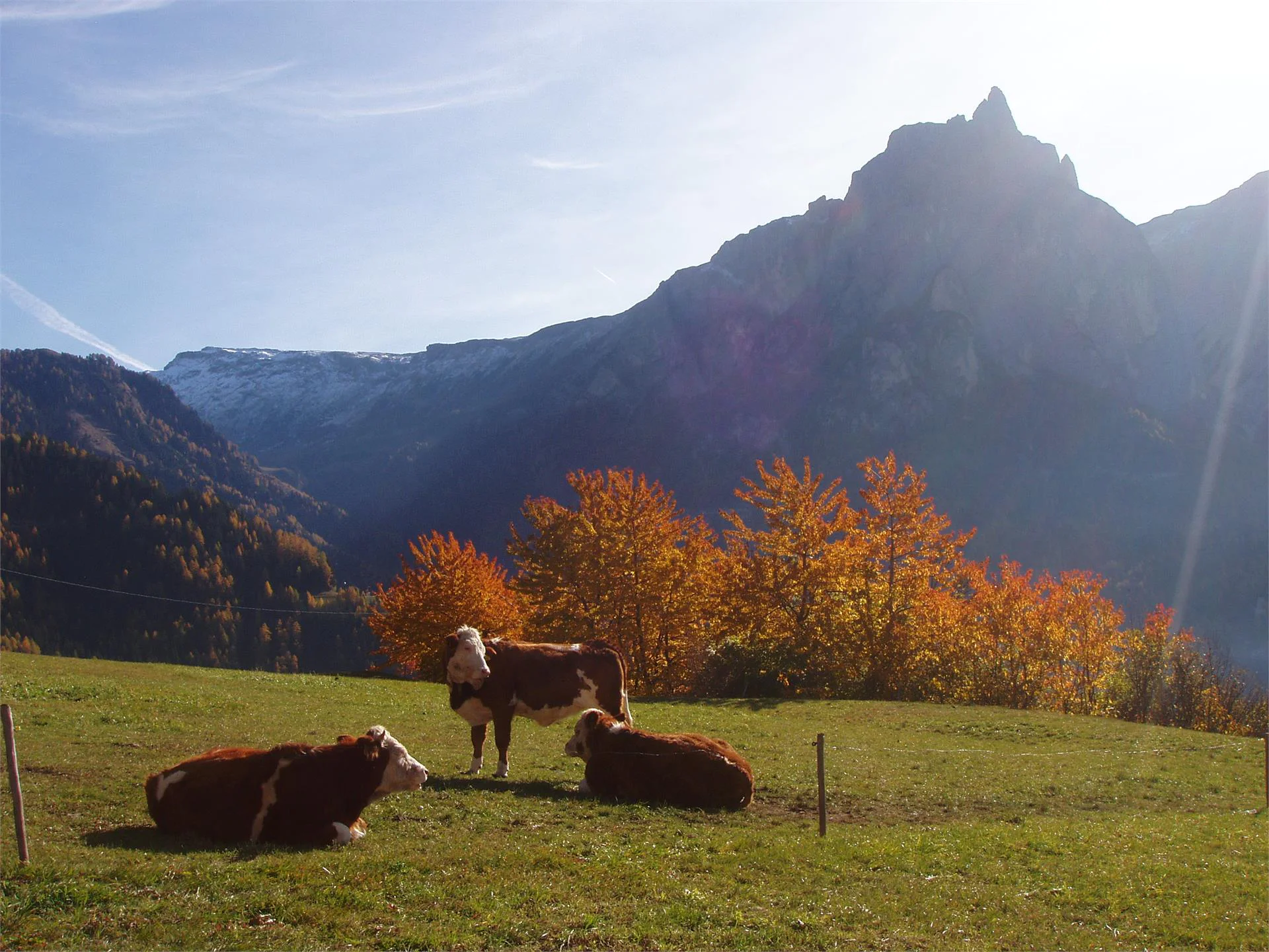 Baumgartnerhof Castelrotto 16 suedtirol.info