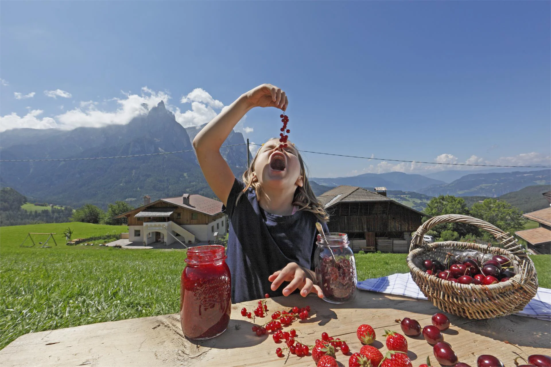 Baumgartnerhof Castelrotto 10 suedtirol.info