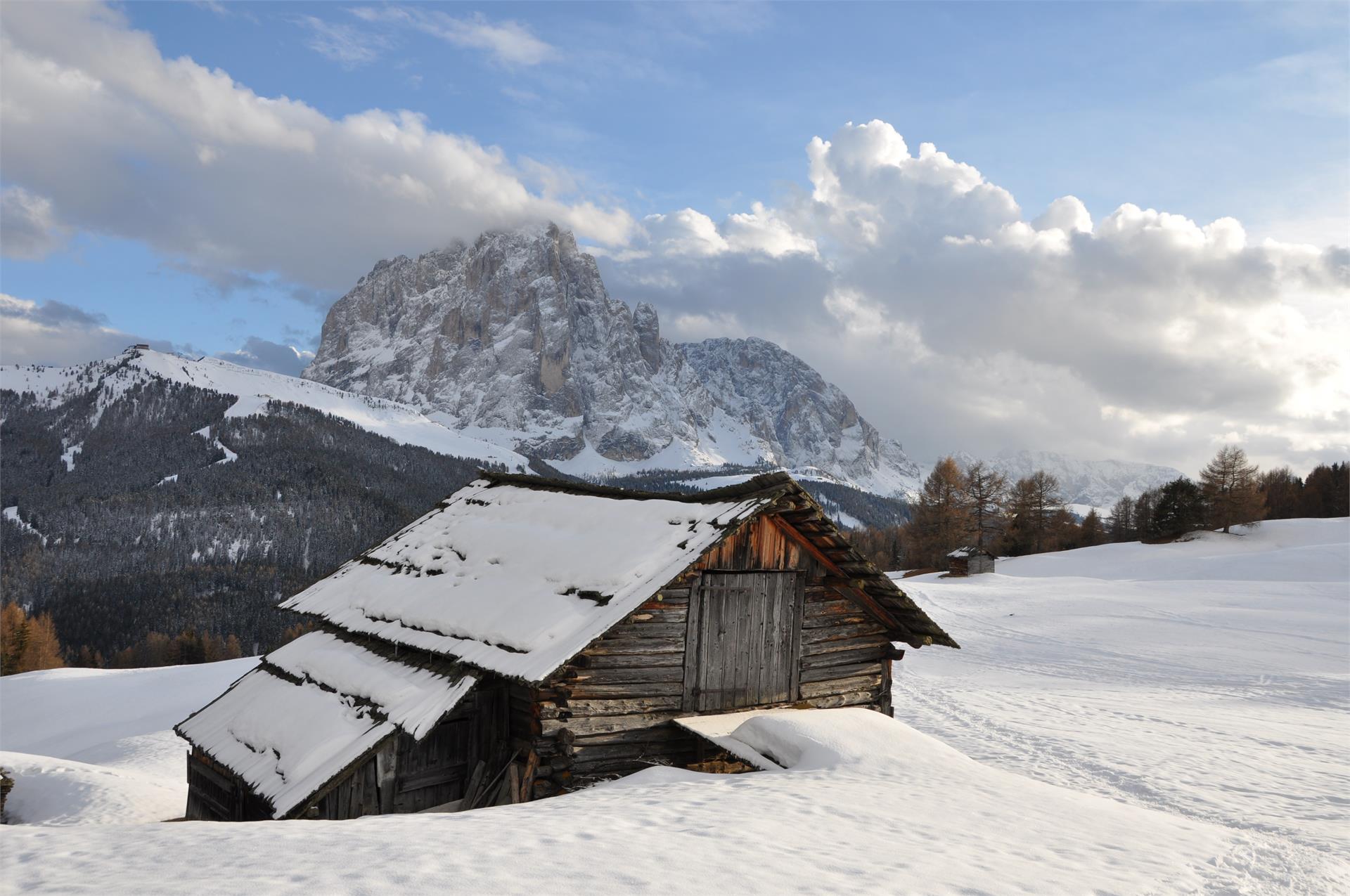 B&B - Daunëi Sëlva/Selva 11 suedtirol.info