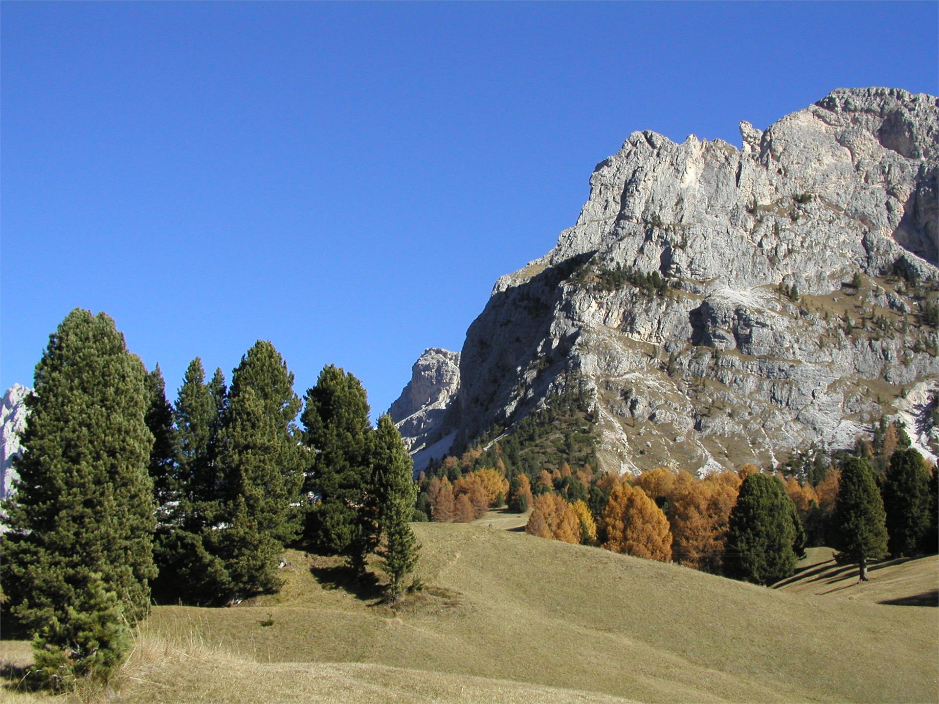 B&B - Daunëi Sëlva/Selva 7 suedtirol.info