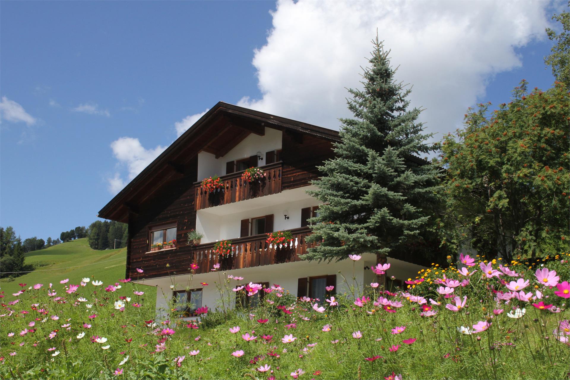 B&B - Daunëi Sëlva/Selva 1 suedtirol.info