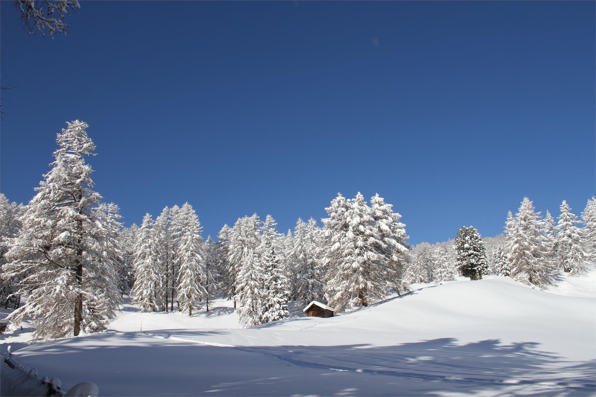 B&B - Daunëi Sëlva/Selva 15 suedtirol.info