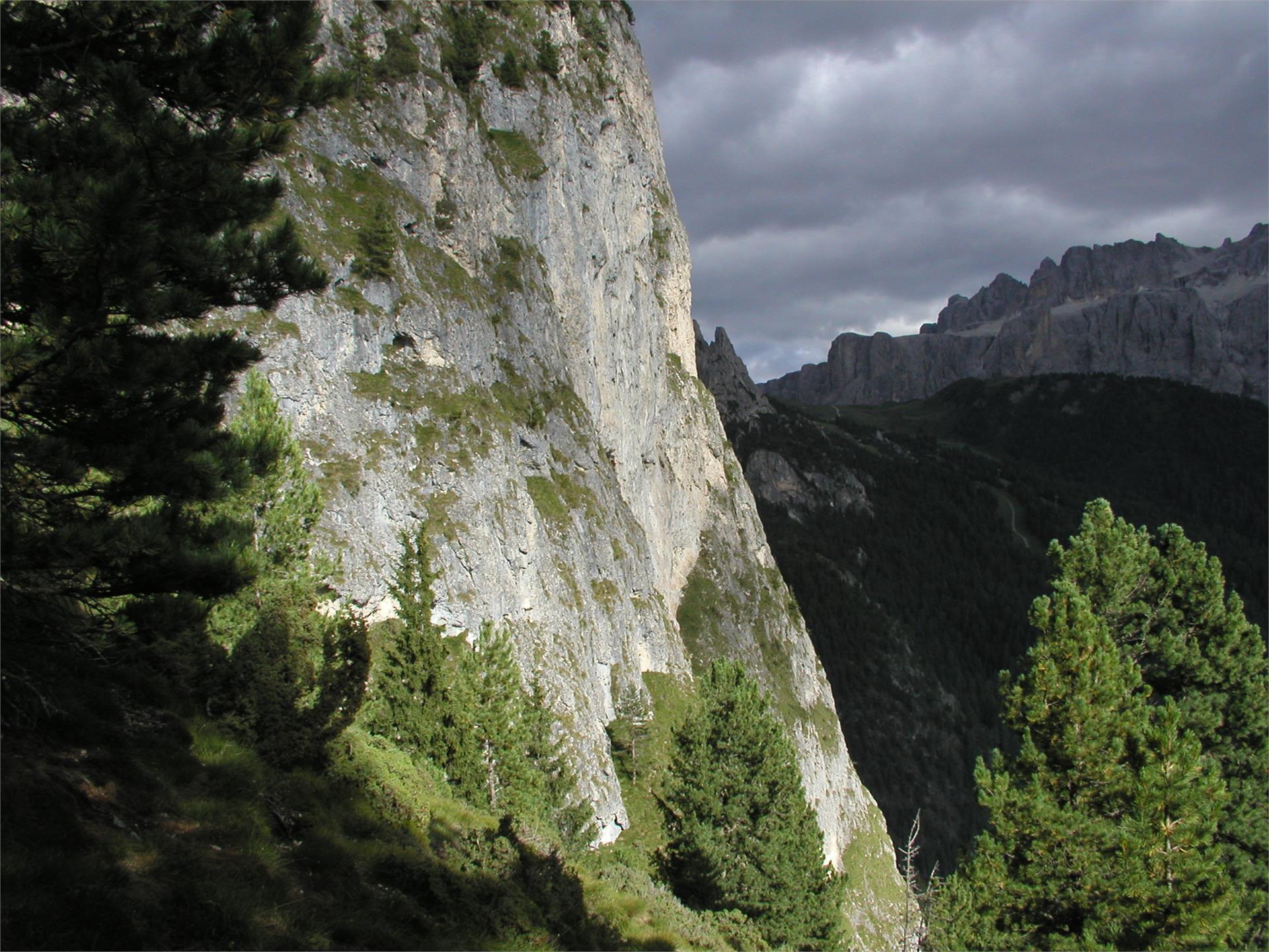 B&B - Daunëi Sëlva/Selva 5 suedtirol.info