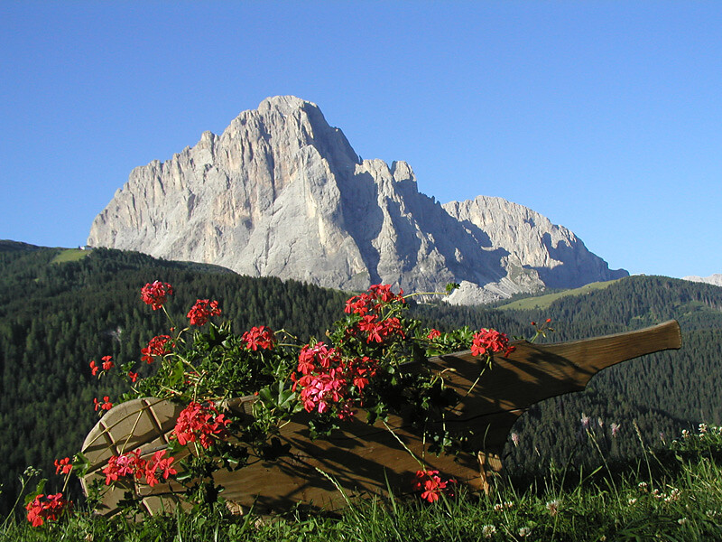 vista dalla finestra