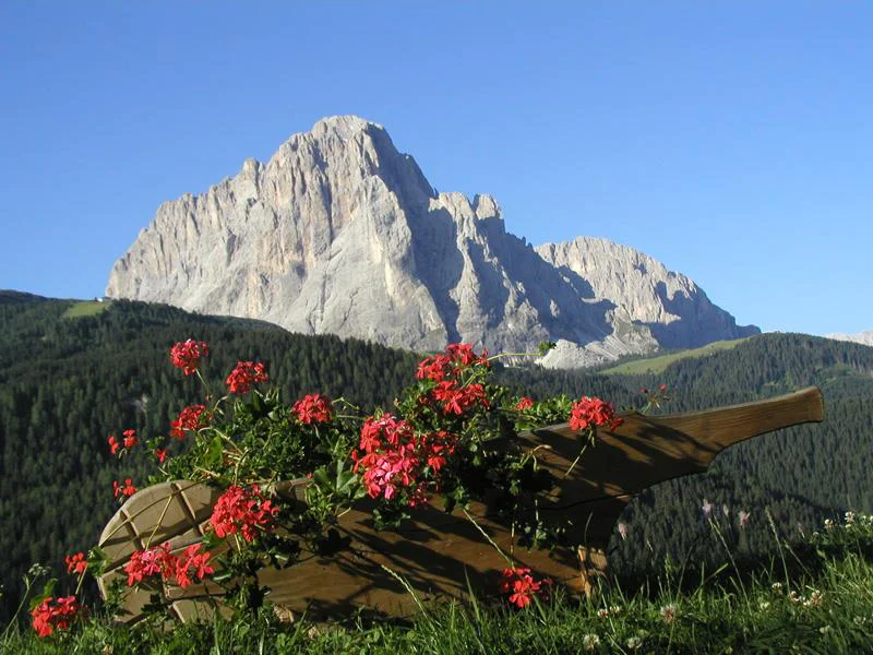 B&B - Apartments Soleiga - Agriturismo Selva 26 suedtirol.info