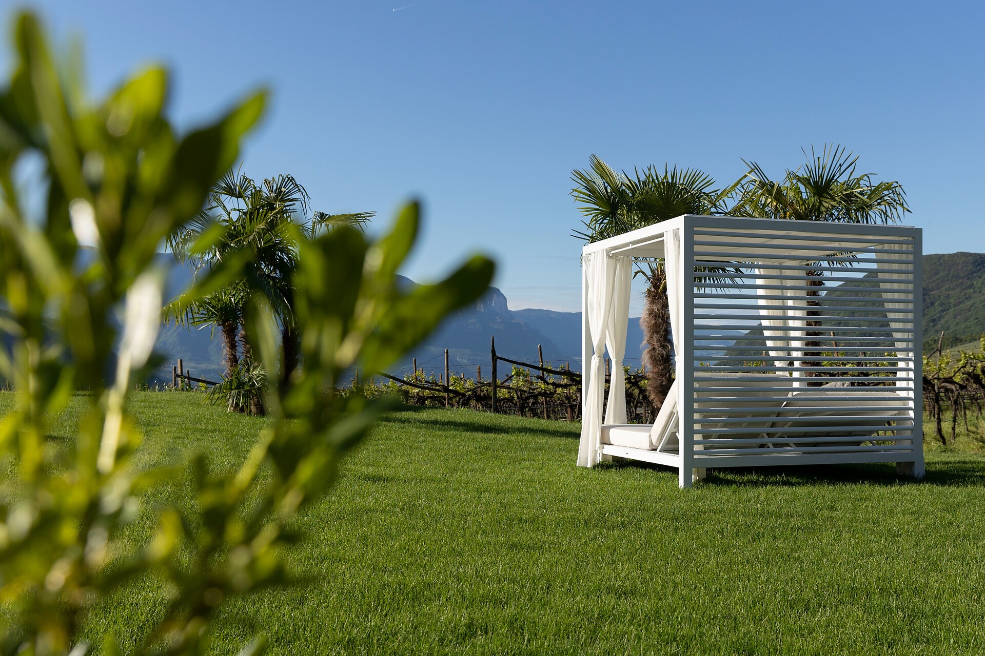 Battisti Suites