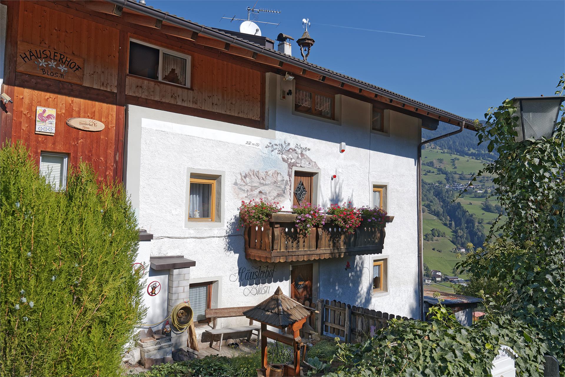 Blösnhof-Häuslerhof Racines 1 suedtirol.info