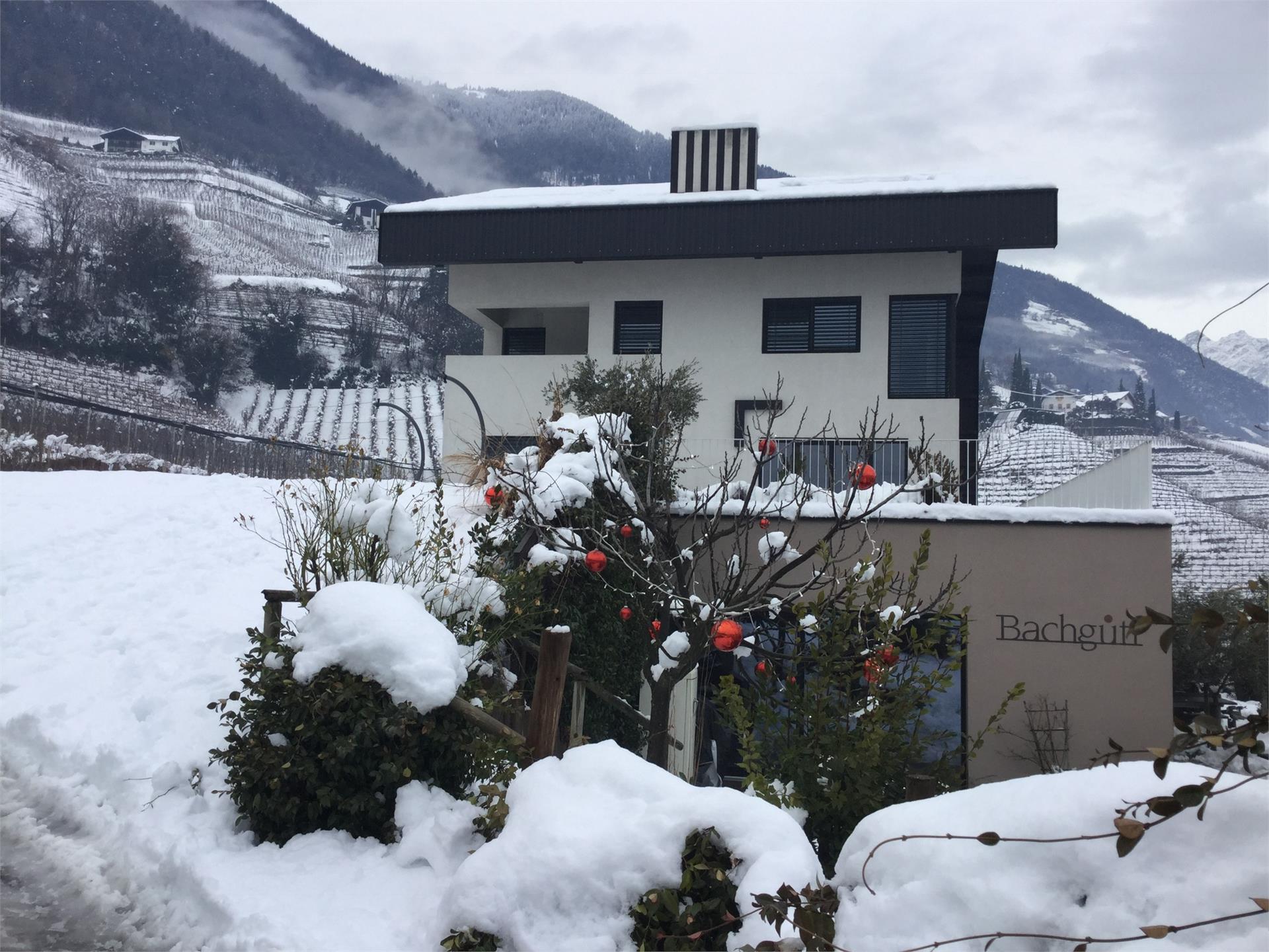 Bachgütl Cermes 13 suedtirol.info