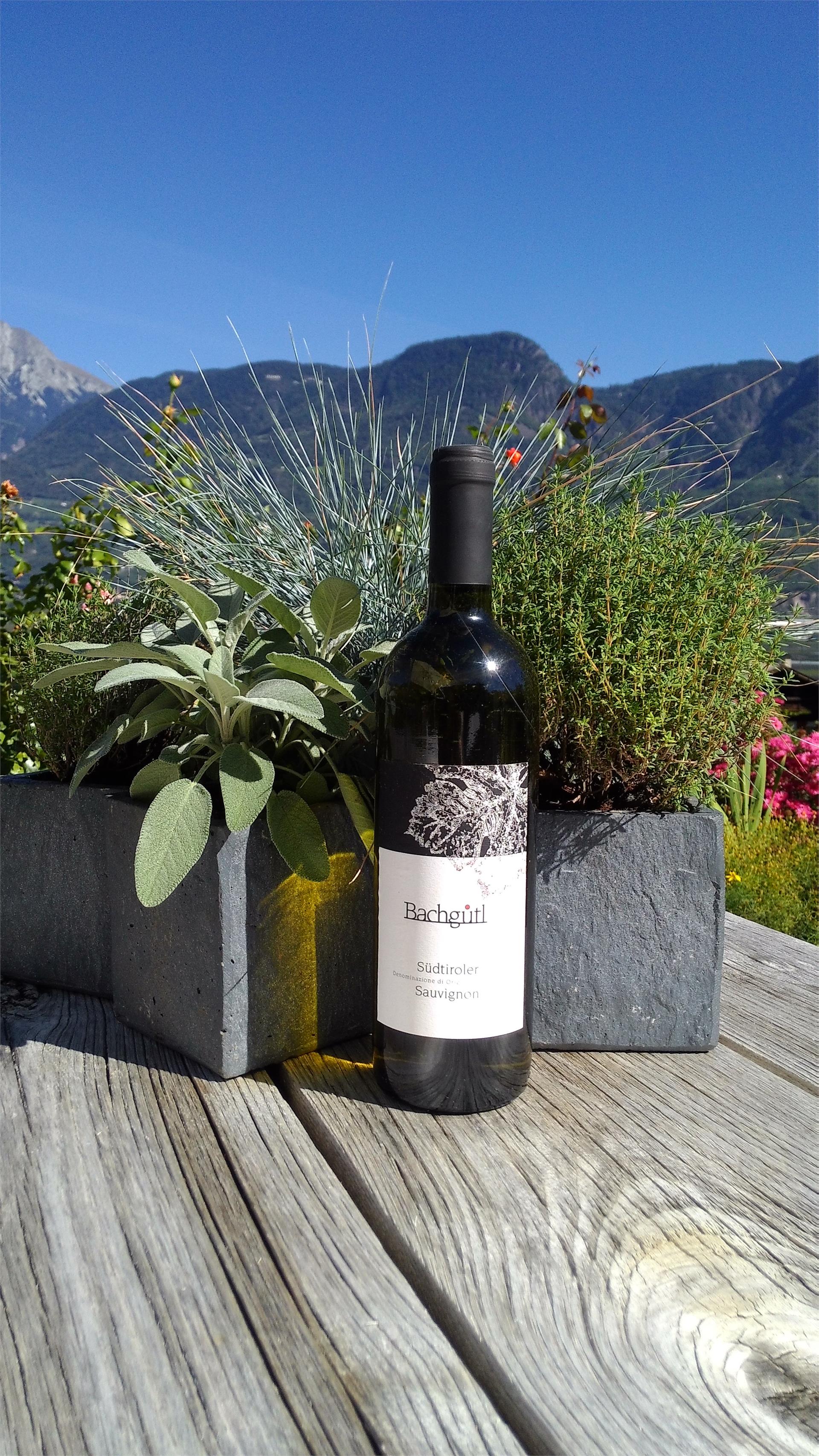 Bachgütl Cermes 9 suedtirol.info