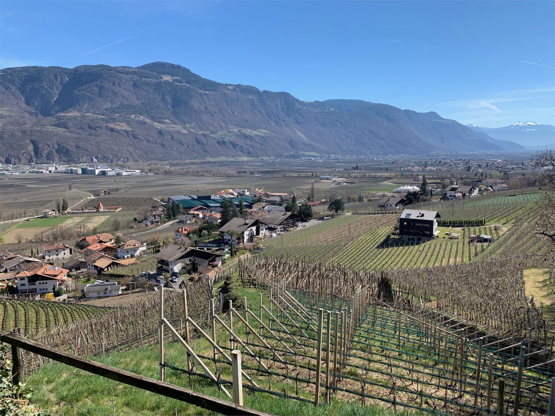 Bachgütl Cermes 8 suedtirol.info
