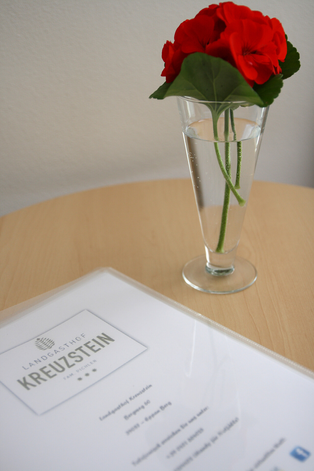 Informations about the hotel and some suggestions for excursions