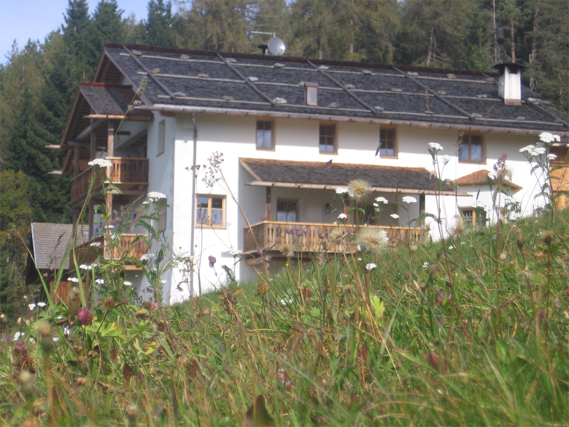 Maurer - Maso biologico Laion 1 suedtirol.info