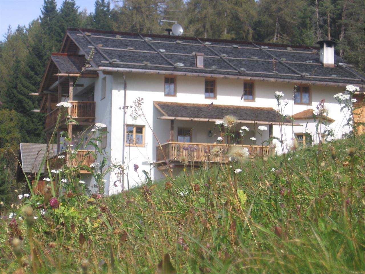 Maurer - Maso biologico Laion 3 suedtirol.info