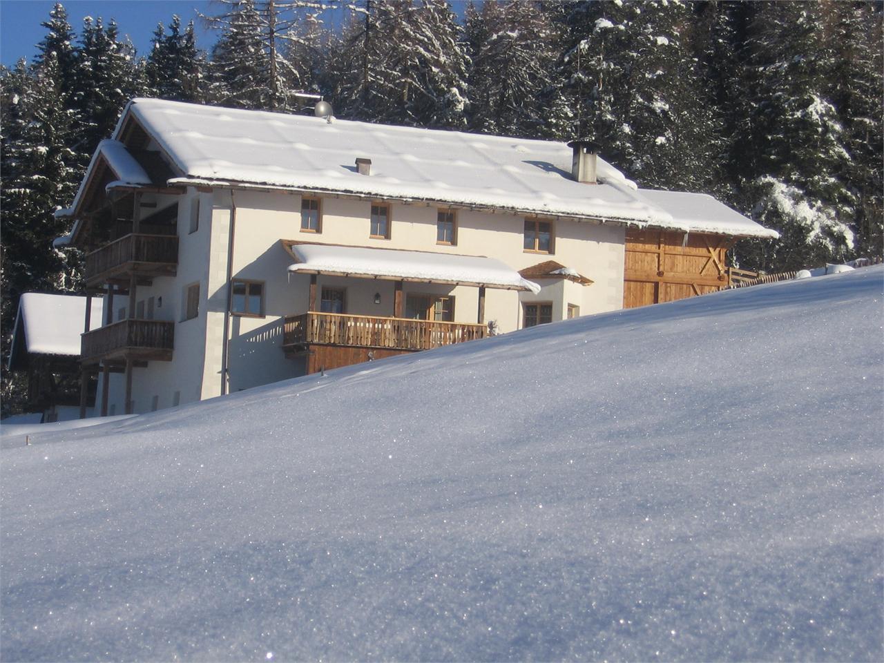 Maurer - Maso biologico Laion 2 suedtirol.info