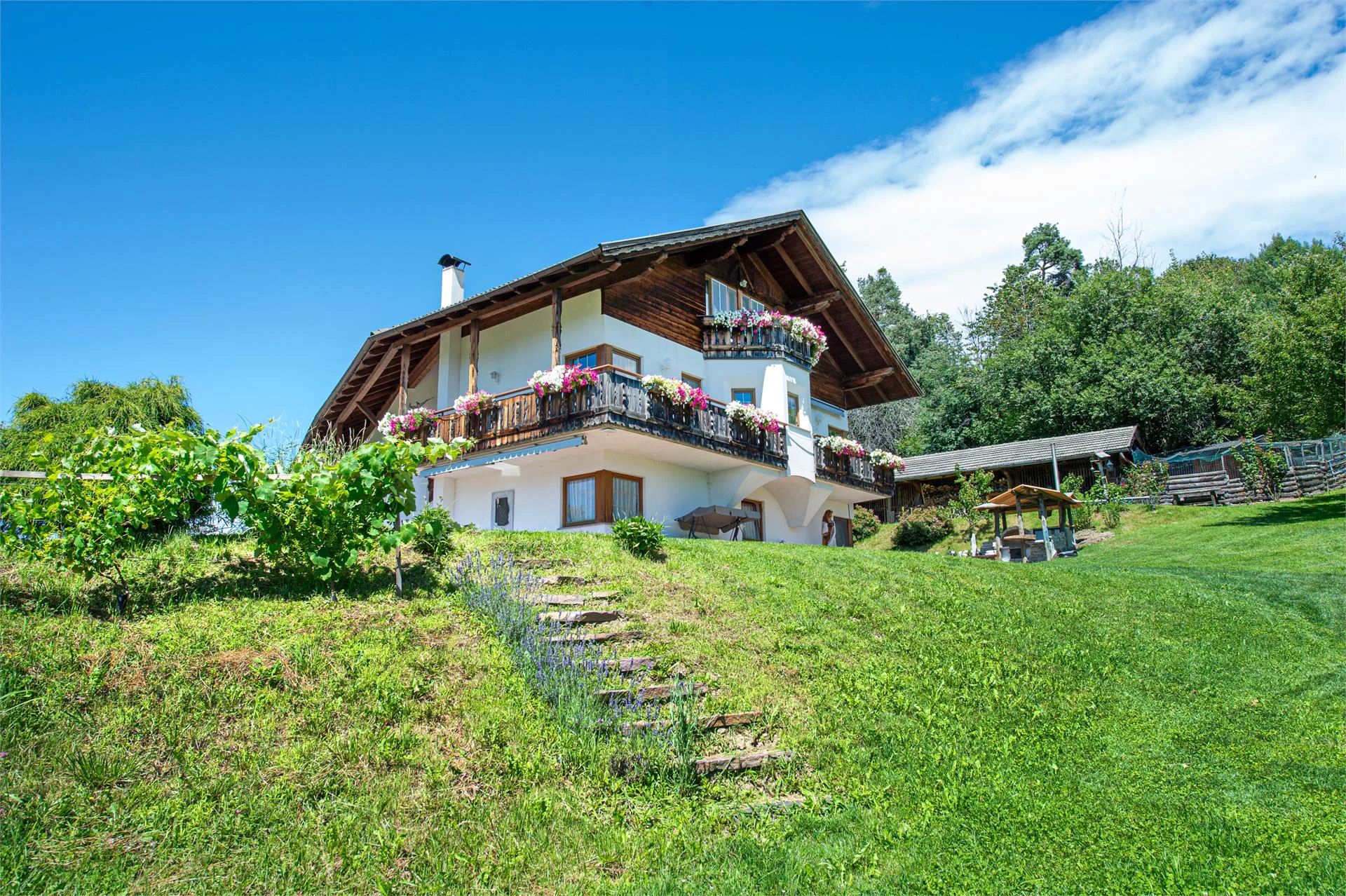 Bonichhof Laion 13 suedtirol.info