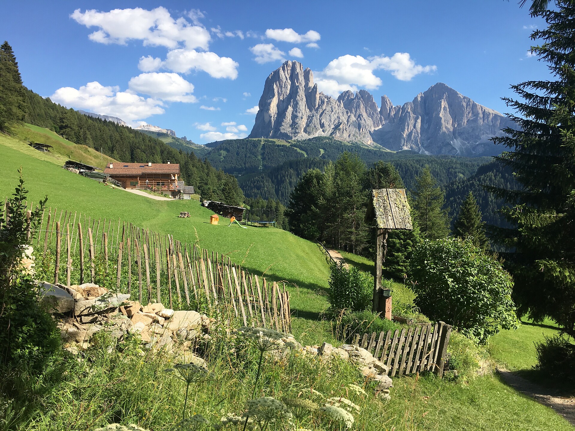 summer landscape