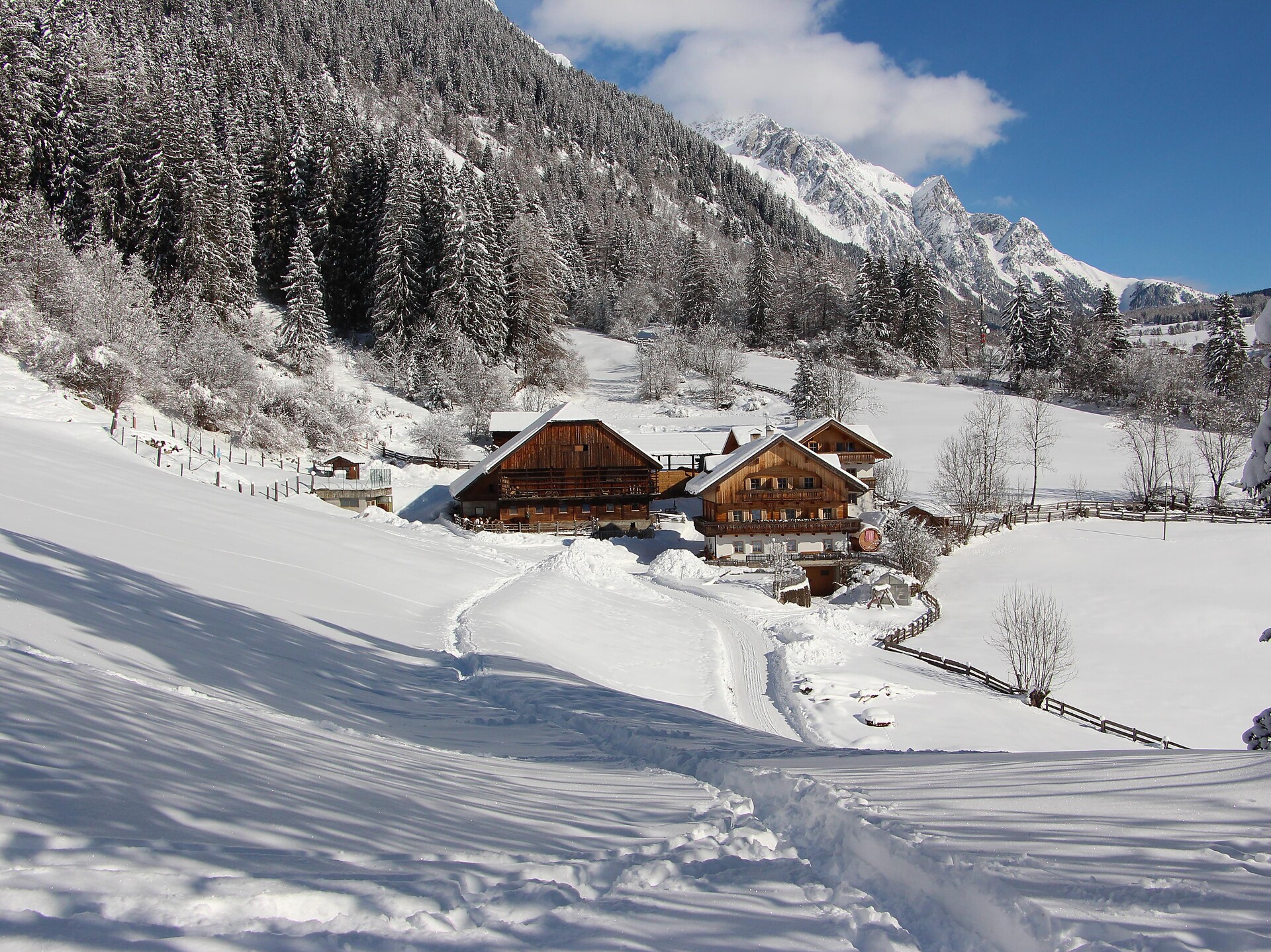 Bergerhof \\\\\\\\\\\\\\\\\\\\\\\\\\\\\\\'Winter\\\\\\\\\\\\\\\\\\\\\\\\\\\\\\\'