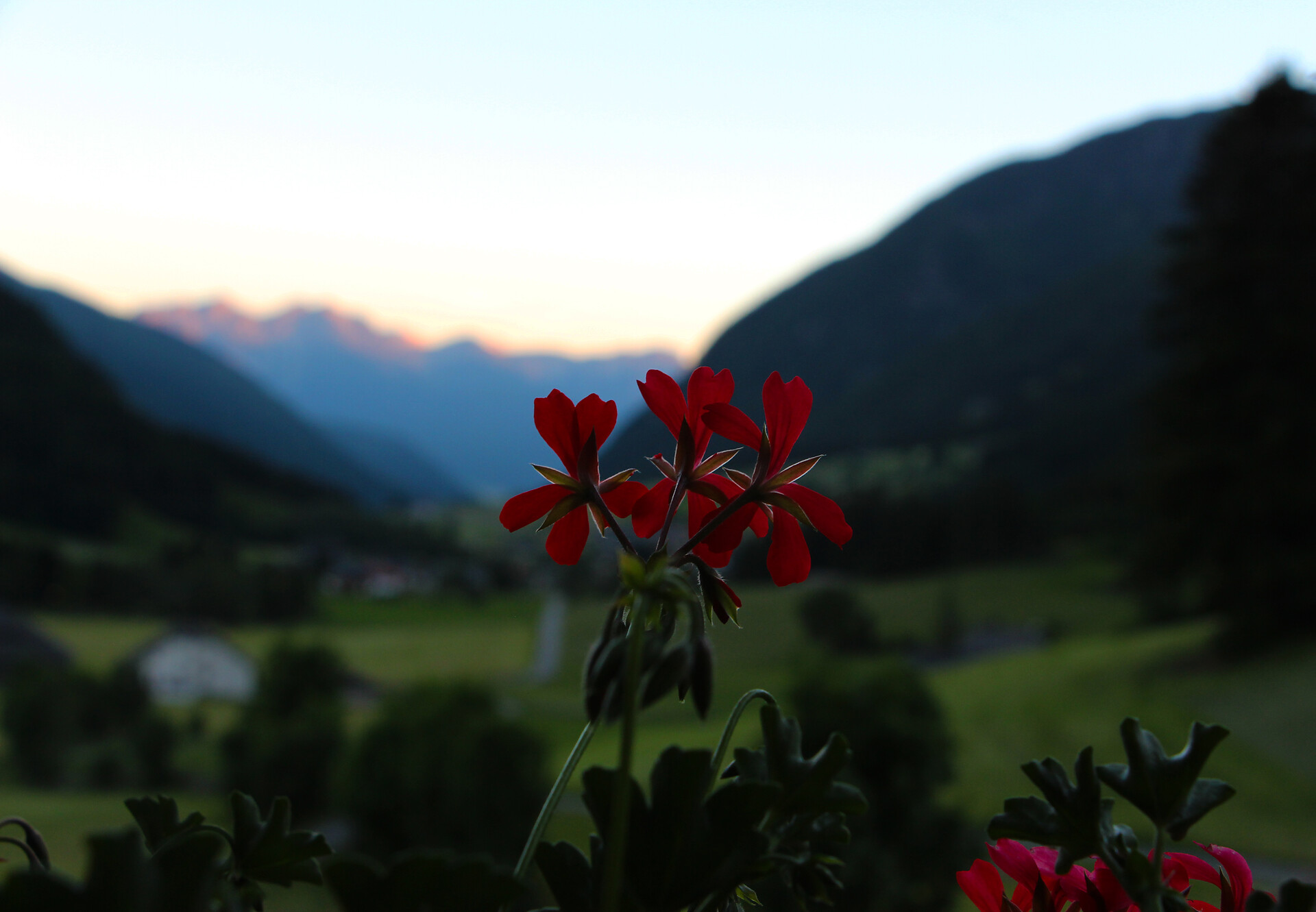 The view from the balcony
