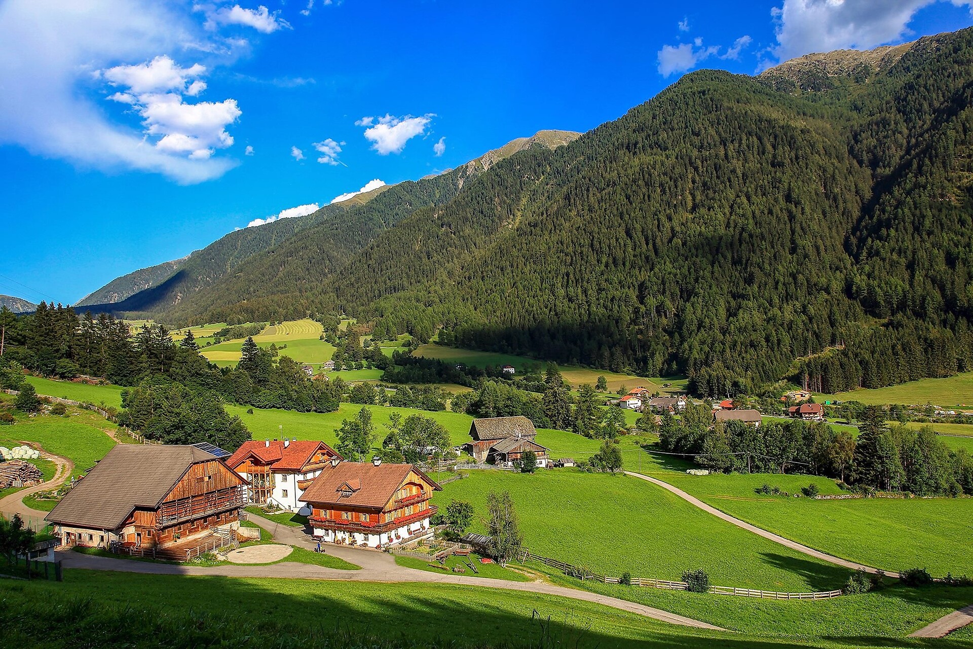 Bergerhof Summer