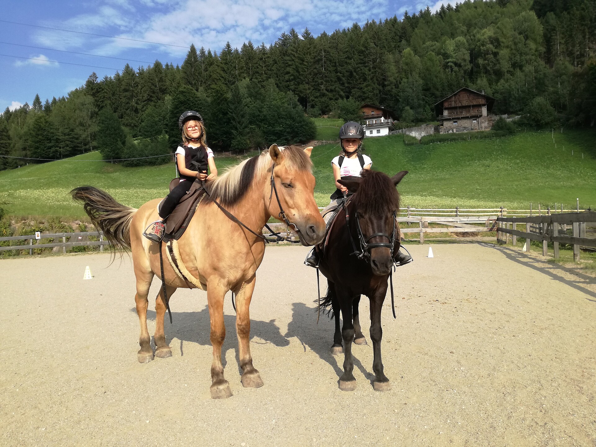 scuola di equitazione