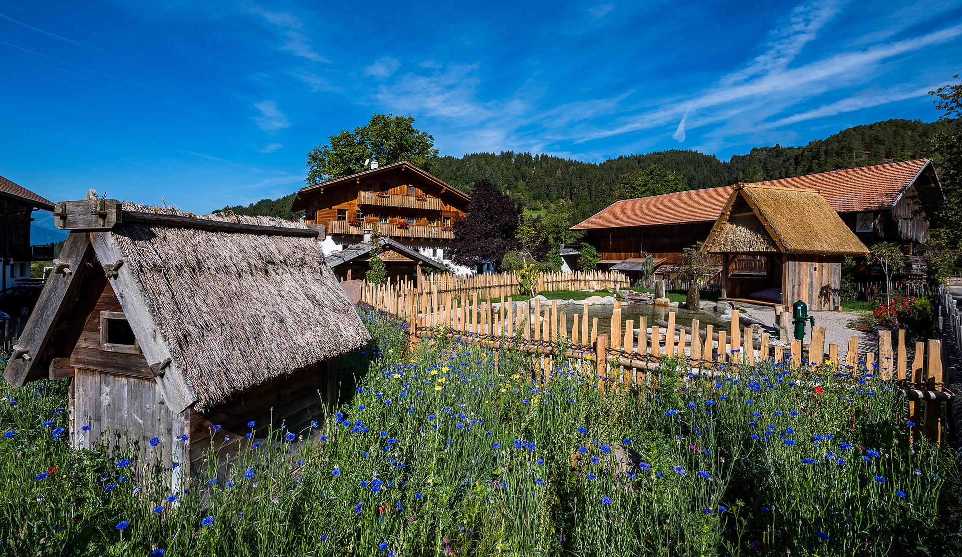 Bacherhof - Bolzano e dintorni - #2 - suedtirol.info