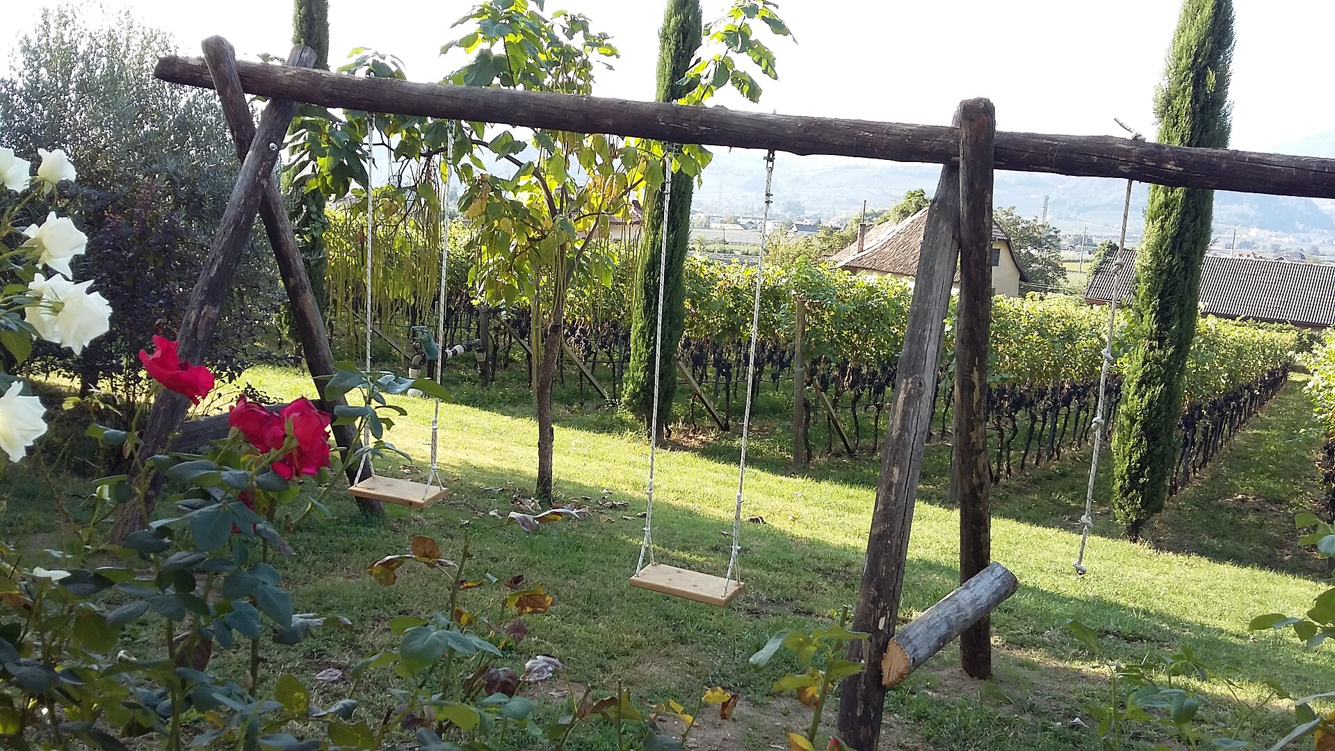 Altalena in Giardino