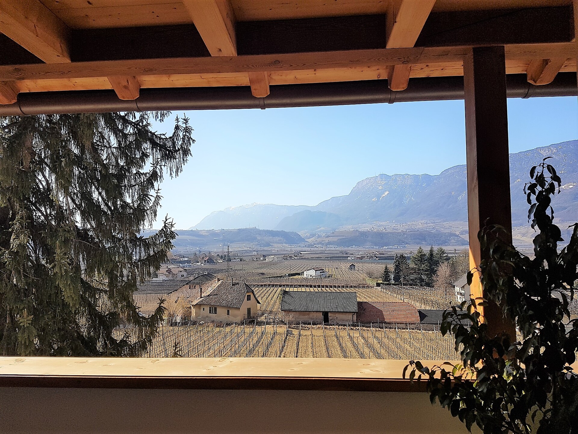 Vista dalla terrazza