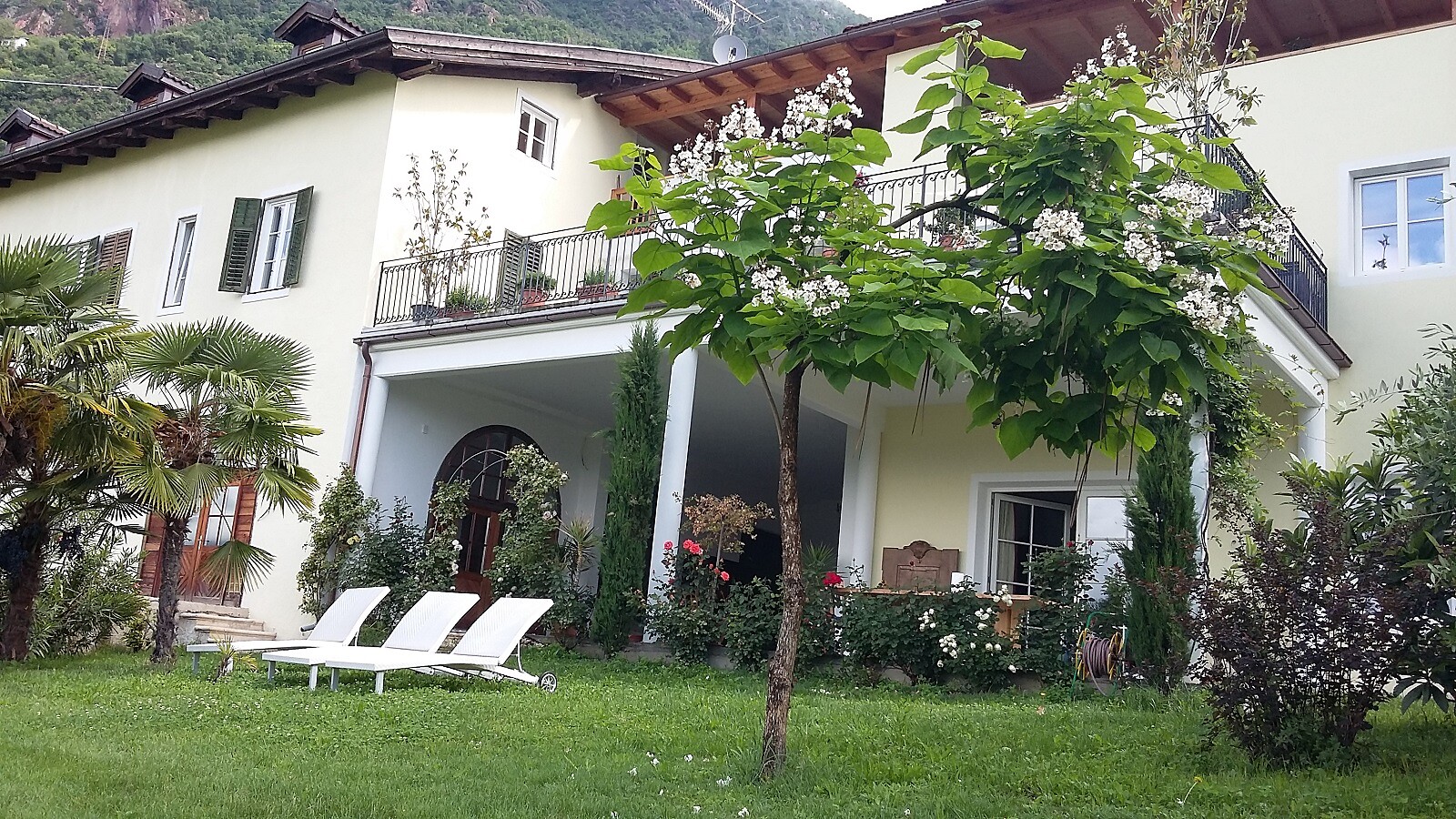 Giardino