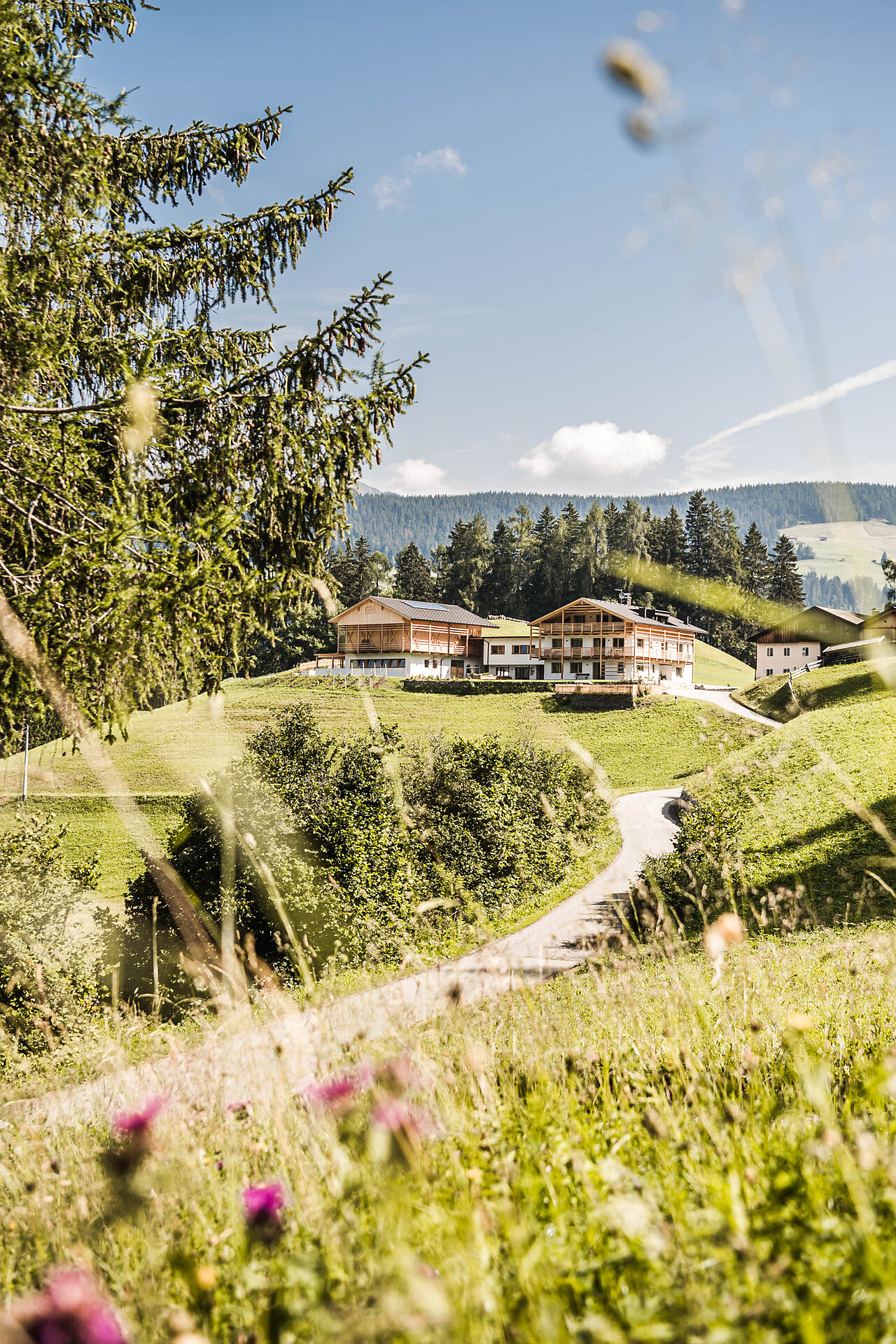 Biohof Untergröber