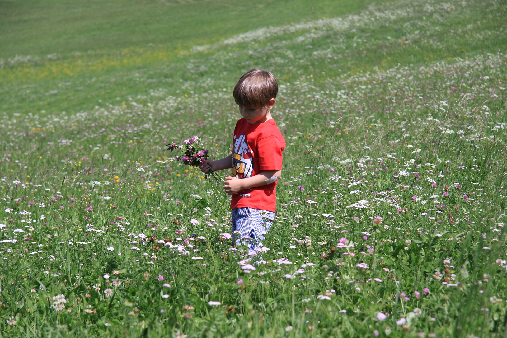blumenstrauß für mama