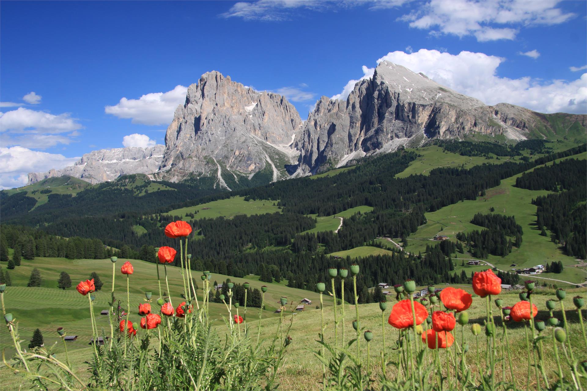 Binterhof Kastelruth 21 suedtirol.info
