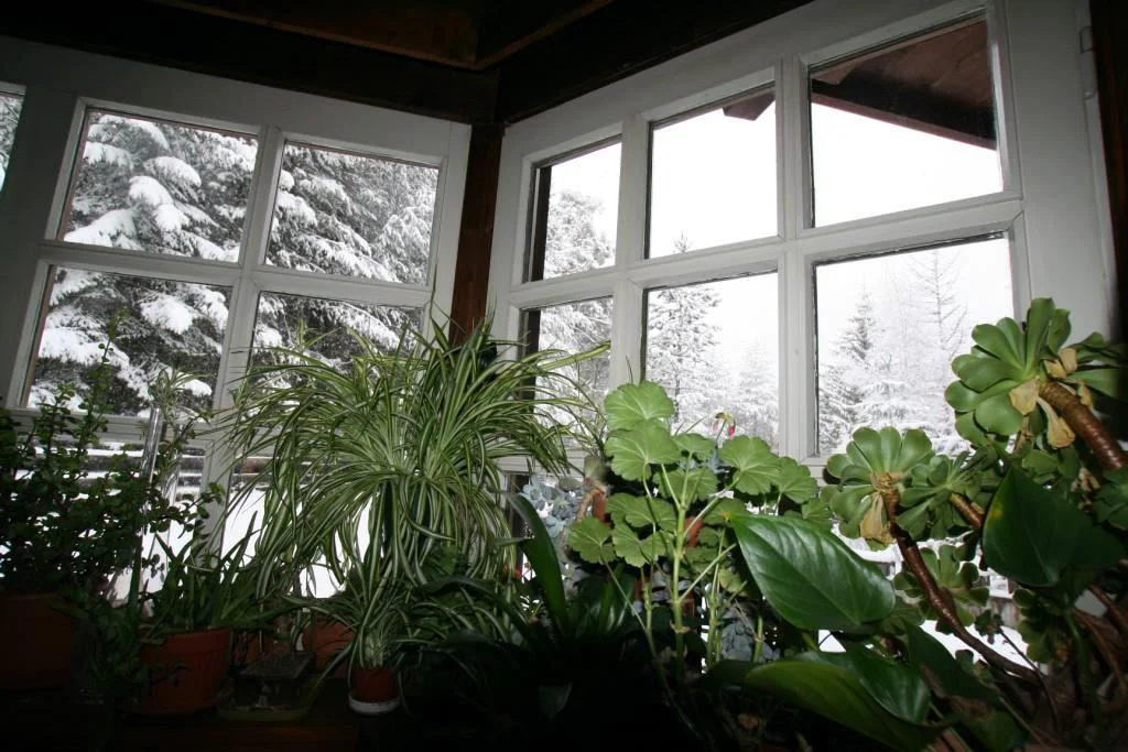 B&B Villa La Bercia San Vigilio 8 suedtirol.info