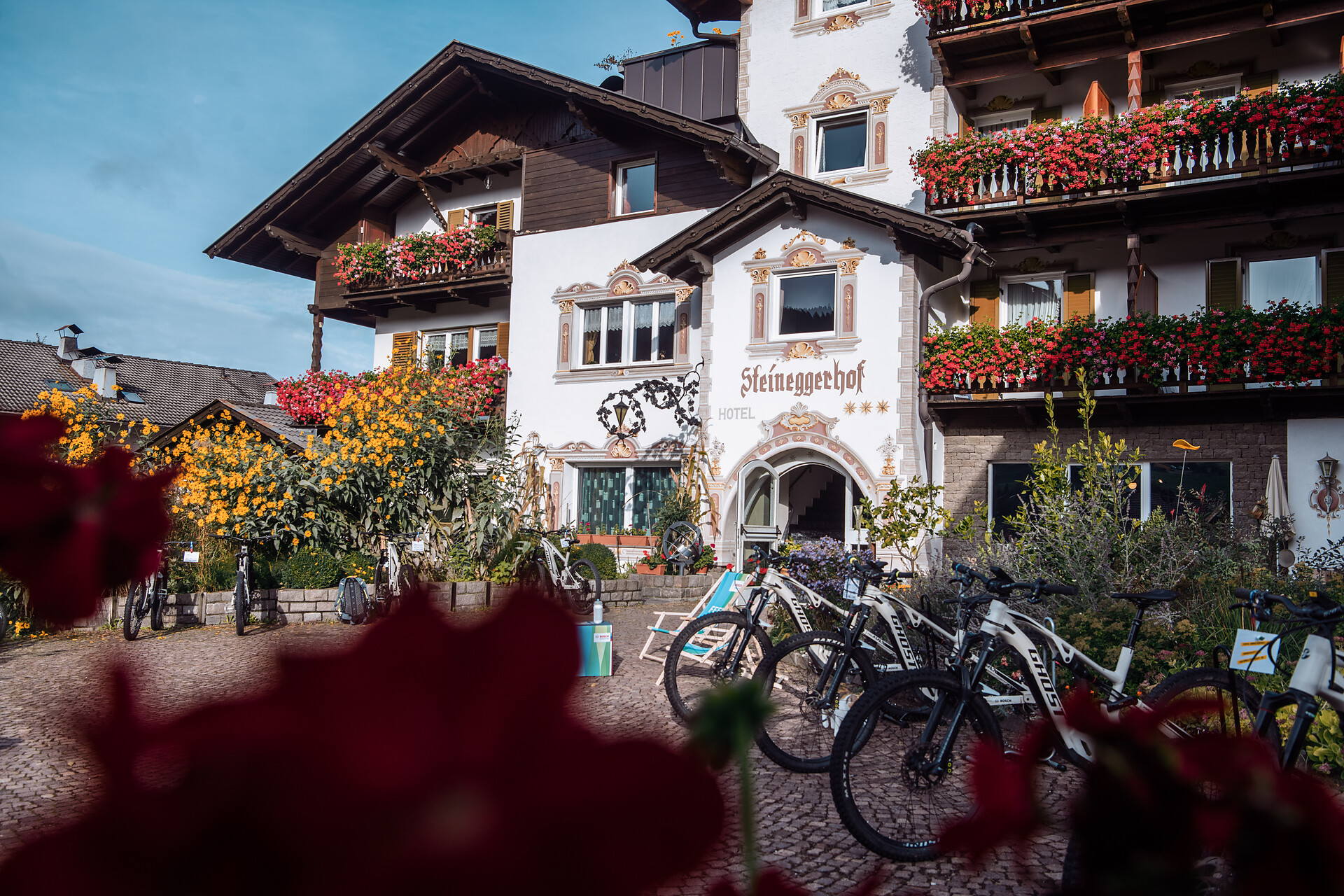 Biohotel Steineggerhof