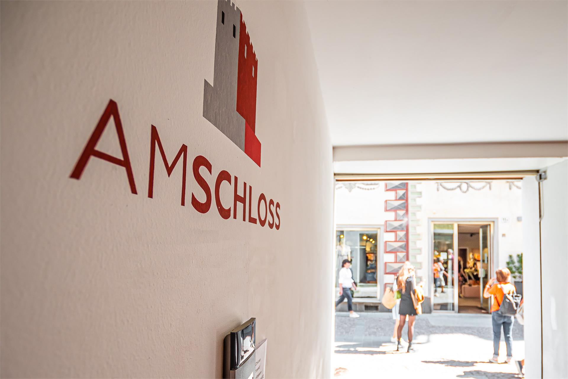Am Schloss Bruneck/Brunico 5 suedtirol.info