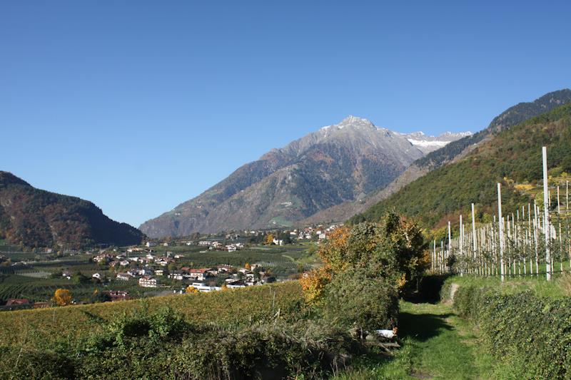 Agriturismo Traterhof Lagundo 5 suedtirol.info