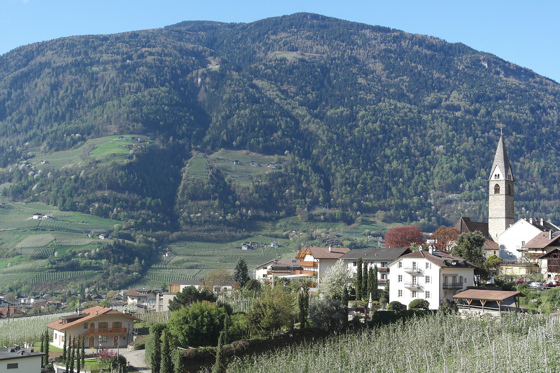 Platterhof