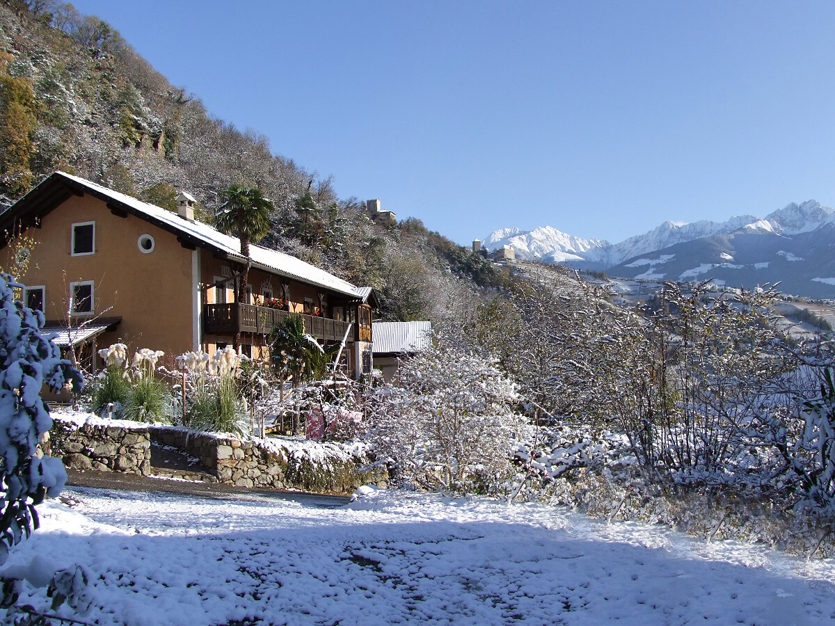 Bauernhof Huber Unterm Baum - Meran und Umgebung - #26 - suedtirol.info