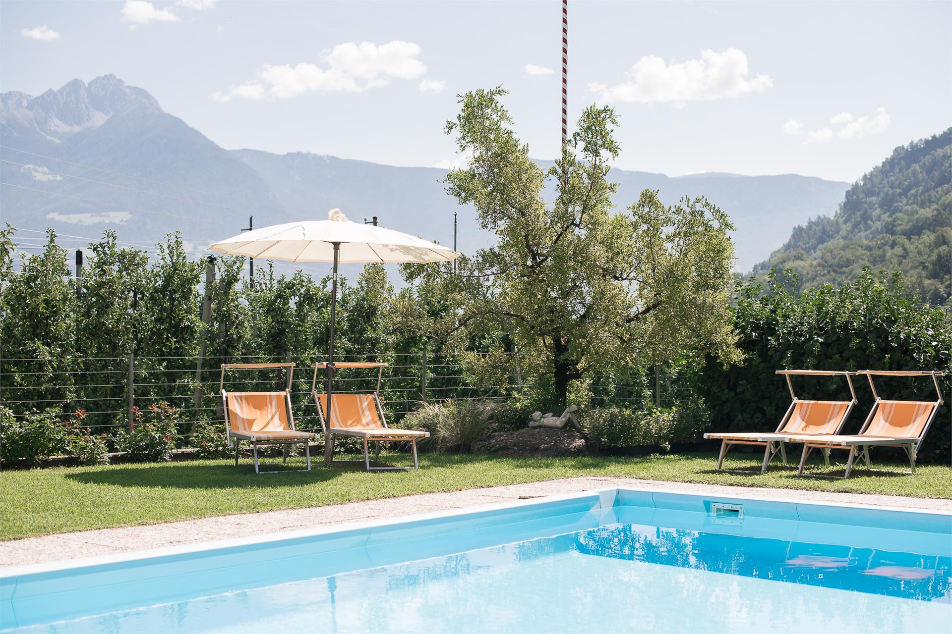 Bauernhof Untermairhof Algund 4 suedtirol.info