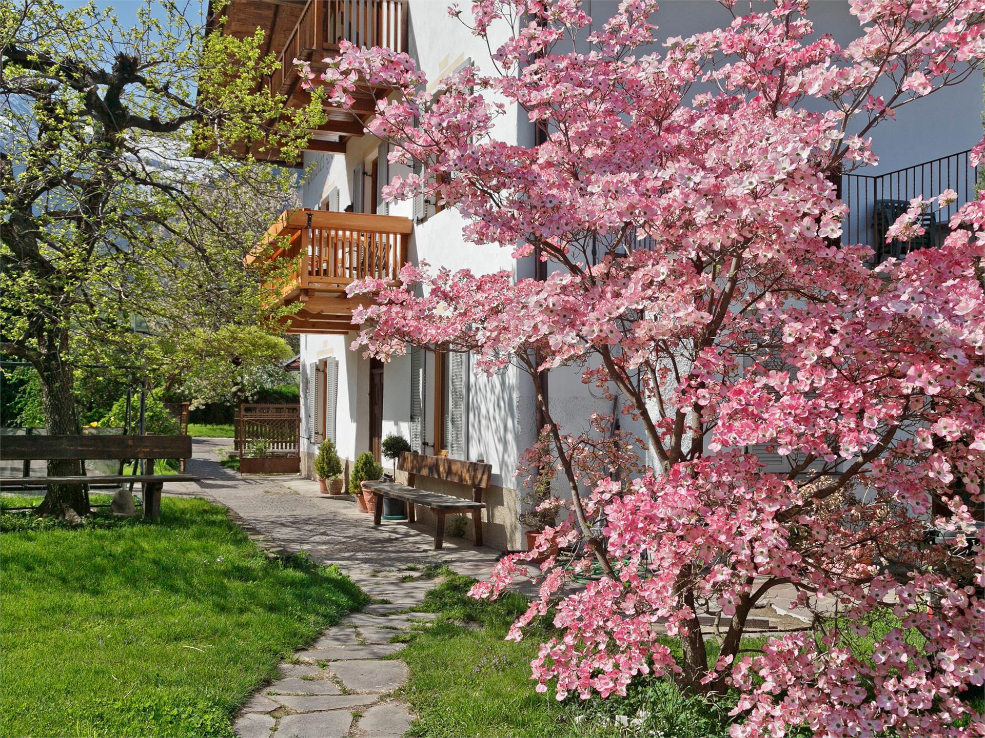 Bauernhof Pendlerhof Algund 7 suedtirol.info