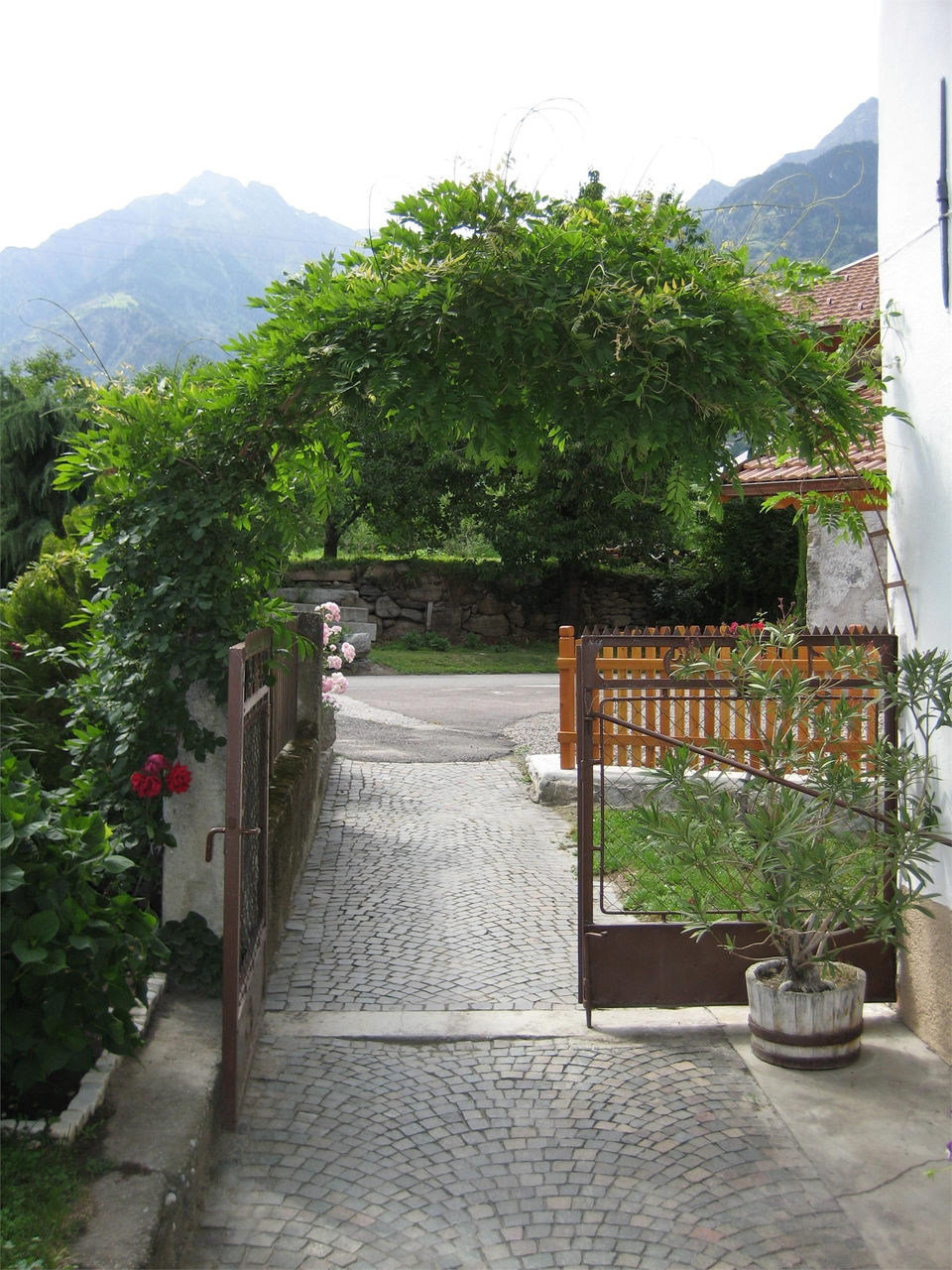 Slide 4